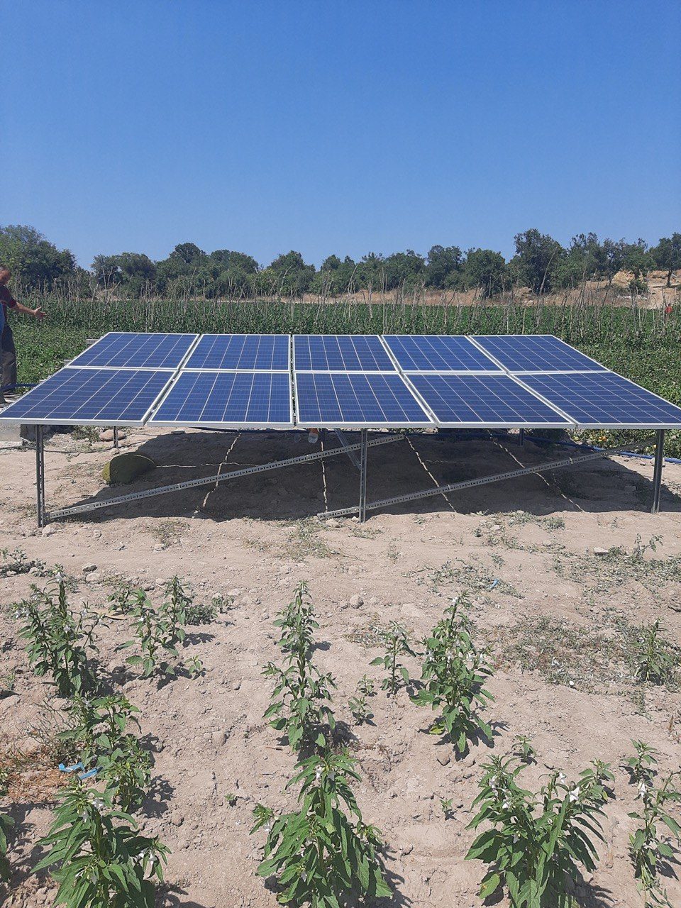 İzmir Bergama'de kurulan 2 HP güneş enerjili sulama sistemi