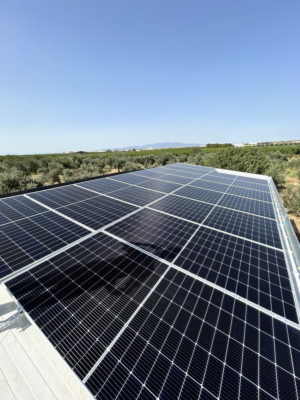 İzmir Kemalpaşa'de kurulan 7.5 HP güneş enerjili sulama sistemi